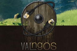  Google    Valheim  MMO