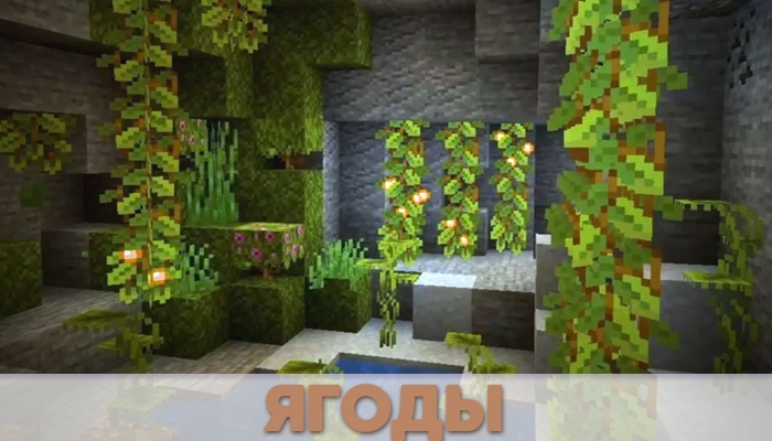 Пышные пещеры в глобальном обновлении MCPE Caves & Cliffs. Пышные пещеры в глобальном обновлении MCPE Caves & Cliffs.