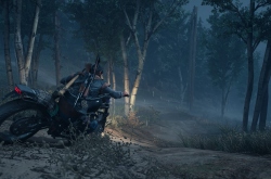 Сиквел Days Gone может получить кооперативный режим