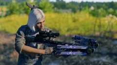    CRSED: F.O.A.D.     -