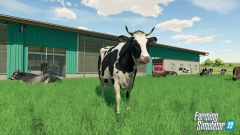 � ����, � ����� � ������������ Farming Simulator 22