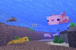 У Minecraft вышло дополнение: 90 новых блоков, громоотводы и козы. Множество ужасных коз