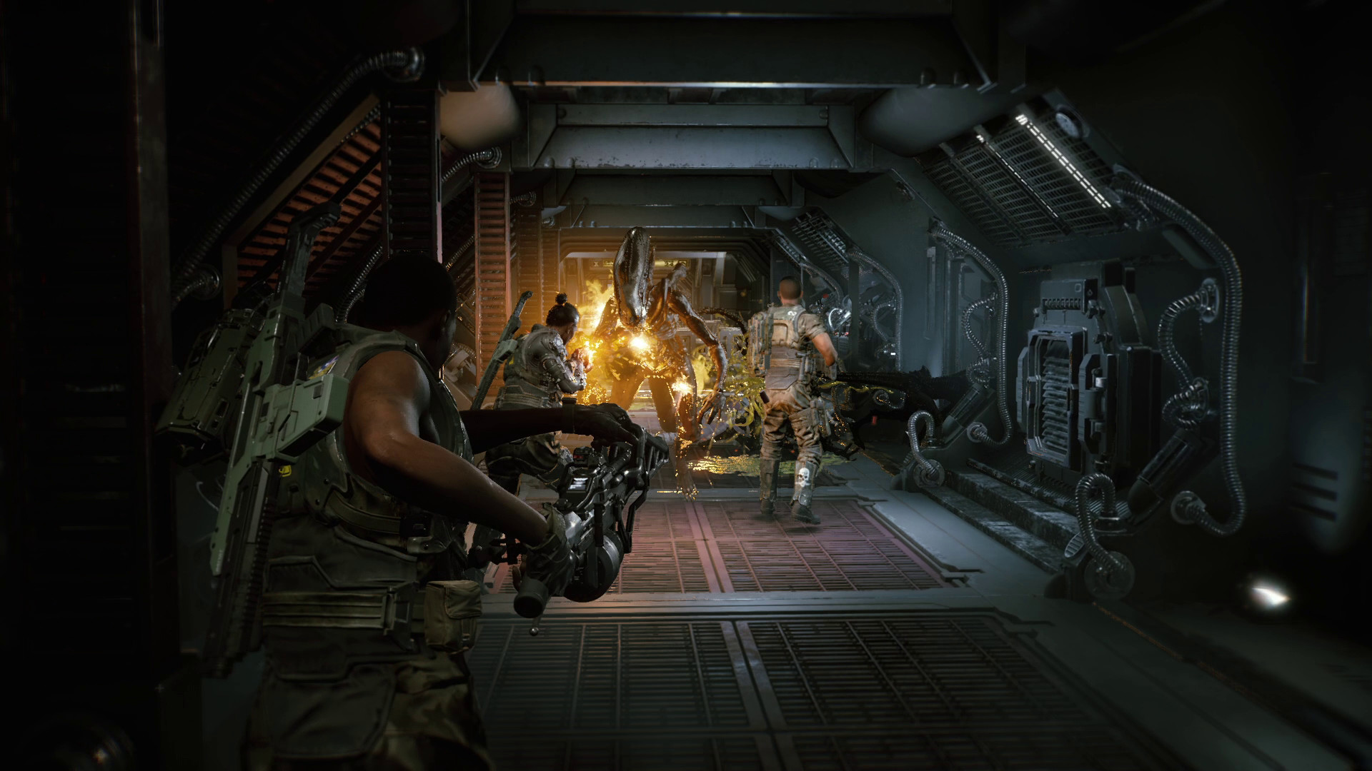 FAQ по ошибкам Aliens: Fireteam Elite