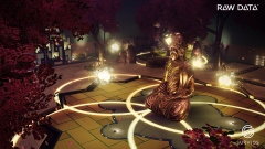 Raw Data
