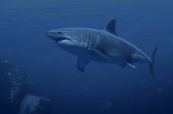 Rust опускается на дно – с гарпунами, торпедами и в подводных лодках