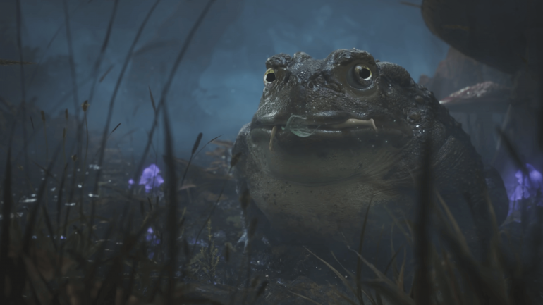  Cyberpunk 2077    Fable