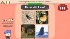 Nintendo ������������ ������������� �������� ����� Big Brain Academy: Brain vs. Brain