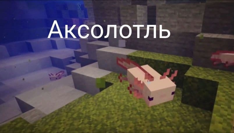 Вышла бета-версия Майнкрафт ПЕ 1.18.0.24 Вышла бета-версия Майнкрафт ПЕ 1.18.0.24