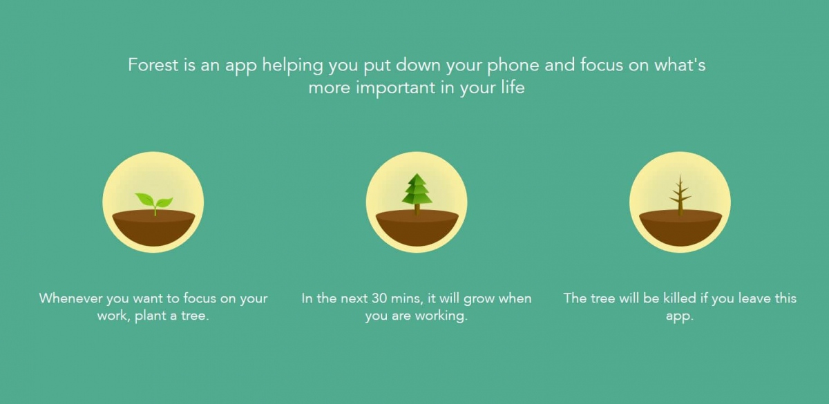 ����, ������� ������� ���� ��������������