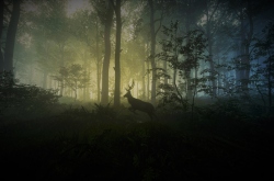Epic раздает theHunter: Call of the Wild