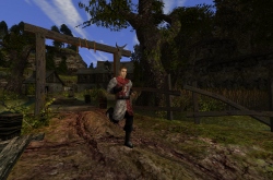   2021   Chronicles Of Myrtana    Gothic II