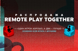  Steam       Remote Play Together