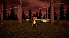  Californication  RHCP   