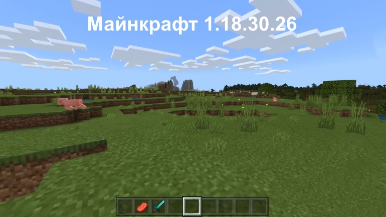  Minecraft PE - 1.18.30.26/27