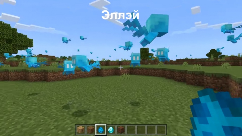  Minecraft PE - 1.18.30.28/29