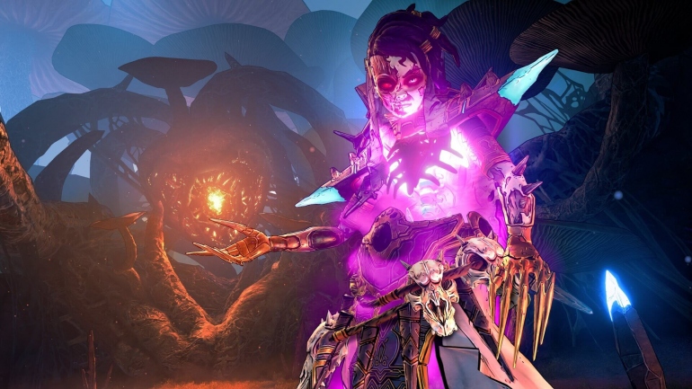    Tiny Tina's Wonderlands        Borderlands,     