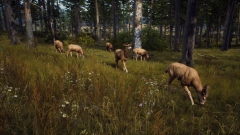Way of the Hunter – кооперативный симулятор охотника от авторов DayZ и Cabela's BGH Way of the Hunter – кооперативный симулятор охотника от авторов DayZ и Cabela's BGH