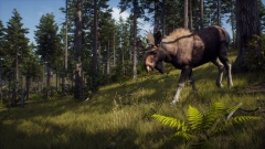 Way of the Hunter – кооперативный симулятор охотника от авторов DayZ и Cabela's BGH Way of the Hunter – кооперативный симулятор охотника от авторов DayZ и Cabela's BGH