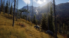 Way of the Hunter – кооперативный симулятор охотника от авторов DayZ и Cabela's BGH Way of the Hunter – кооперативный симулятор охотника от авторов DayZ и Cabela's BGH