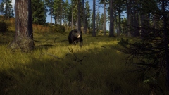 Way of the Hunter – кооперативный симулятор охотника от авторов DayZ и Cabela's BGH Way of the Hunter – кооперативный симулятор охотника от авторов DayZ и Cabela's BGH