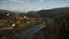 Way of the Hunter – кооперативный симулятор охотника от авторов DayZ и Cabela's BGH Way of the Hunter – кооперативный симулятор охотника от авторов DayZ и Cabela's BGH