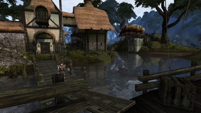 Morrowind 20 !   ,     VR