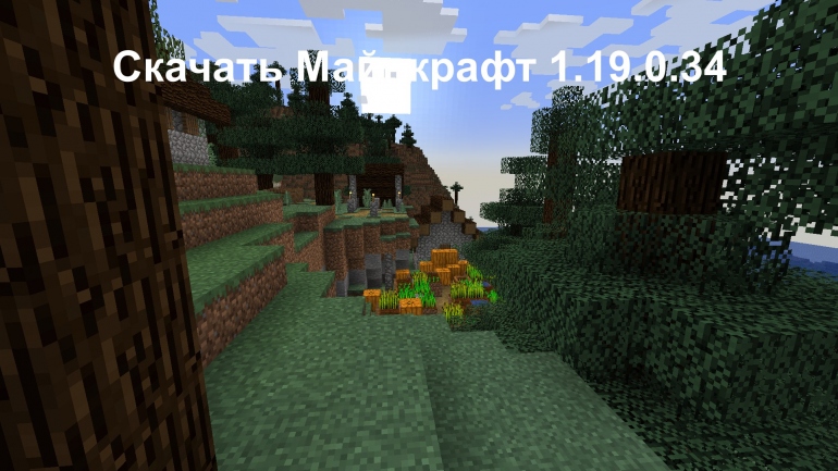   1.19.0.34