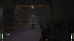 Wolfenstein: Enemy Territory