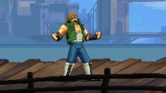 Final Vendetta Final Vendetta