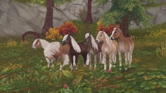 Star Stable Online