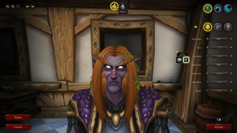Разработчики World of Warcraft уберут из игры выбор пола персонажа Разработчики World of Warcraft уберут из игры выбор пола персонажа