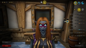 Разработчики World of Warcraft уберут из игры выбор пола персонажа Разработчики World of Warcraft уберут из игры выбор пола персонажа