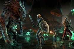     The Elder Scrolls Online