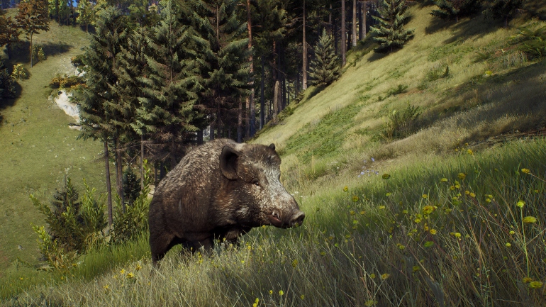Разработчики Way of the Hunter показали трейлер красивых пейзажей природы Разработчики Way of the Hunter показали трейлер красивых пейзажей природы