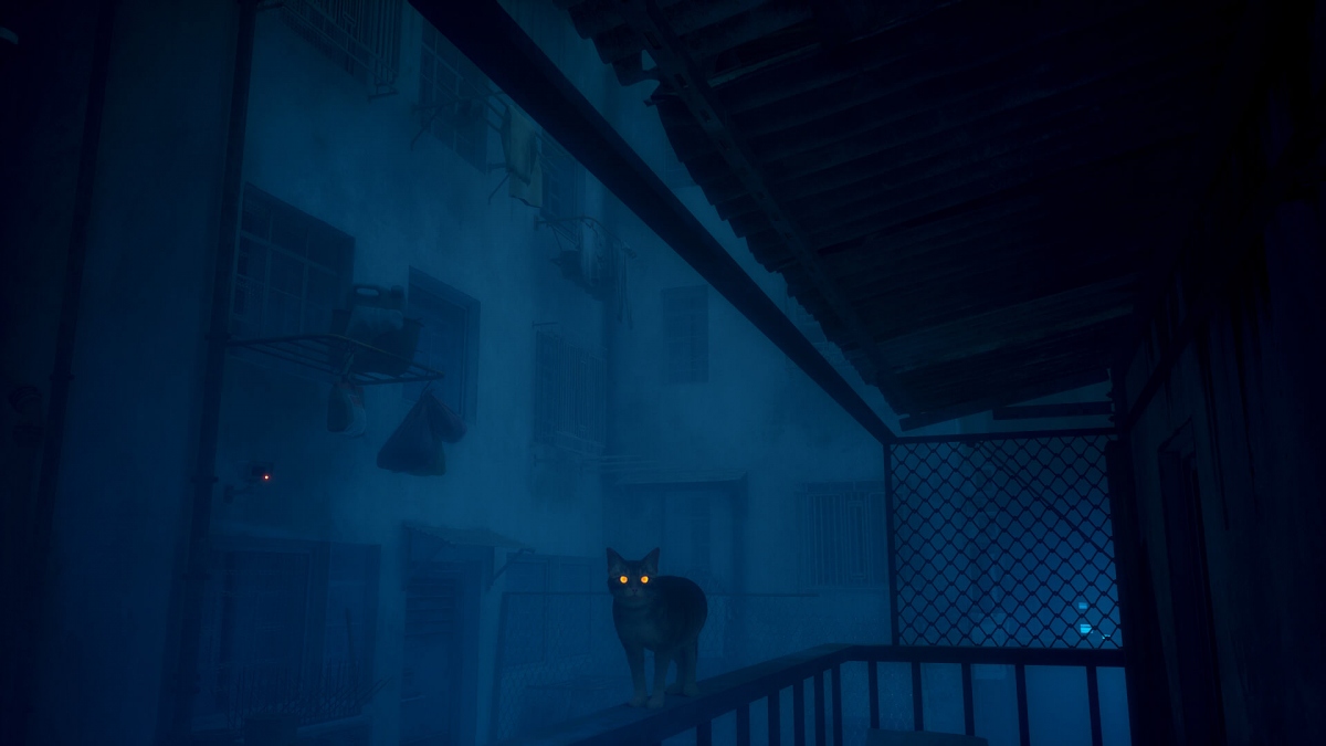 ����� ����������� ������ �� ��� �� ������. ����� ���������� ���� ��� Stray