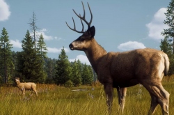 Как работает оружие в Way of the Hunter?