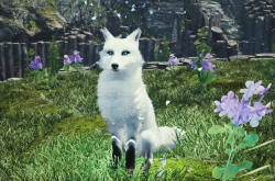   Spirit of the North  The Captain