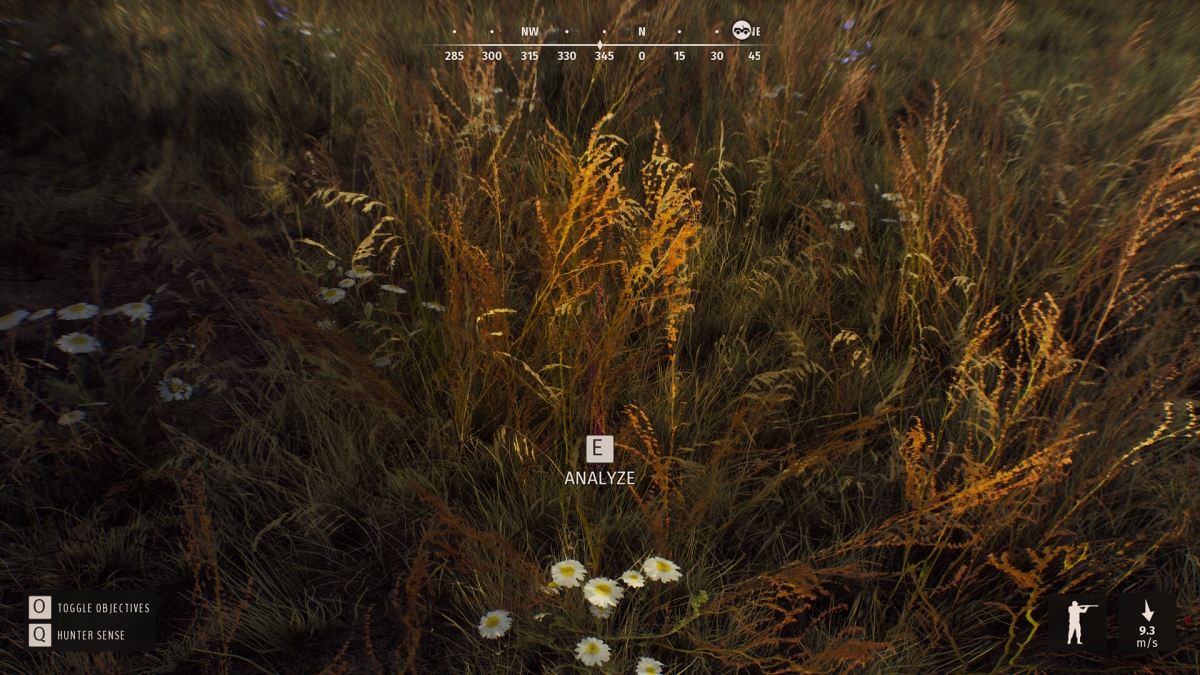 Way of the Hunter.    ?