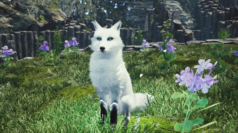   Spirit of the North  The Captain