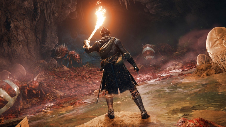    Elden Ring     PvP  PvE