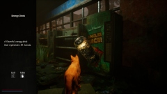 On Dark Terms � ������-������ � �������� ����� � �����������-������