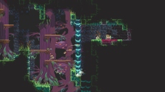 Ants Took My Eyeball         