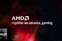 AMD   :    RTX 4090,     