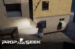 PROP AND SEEK