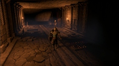 Gedonia � ���� �� ������ ������� ��� 2022 ����. � ��� ����������� � �������� ������ �� �����������