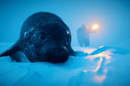 Ubisoft      Steam         Valhalla