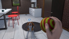 House Flipper Pets VR � ����������� �������� � �������� � ������ ����