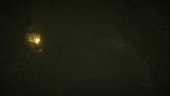 Maurice: In The Predator's Nest