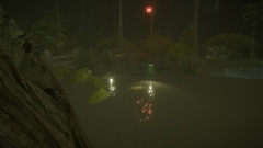 Maurice: In The Predator's Nest