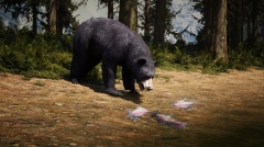 The Cenozoic Era � ������������ ��������� ��������� �� ���� ������������ ���